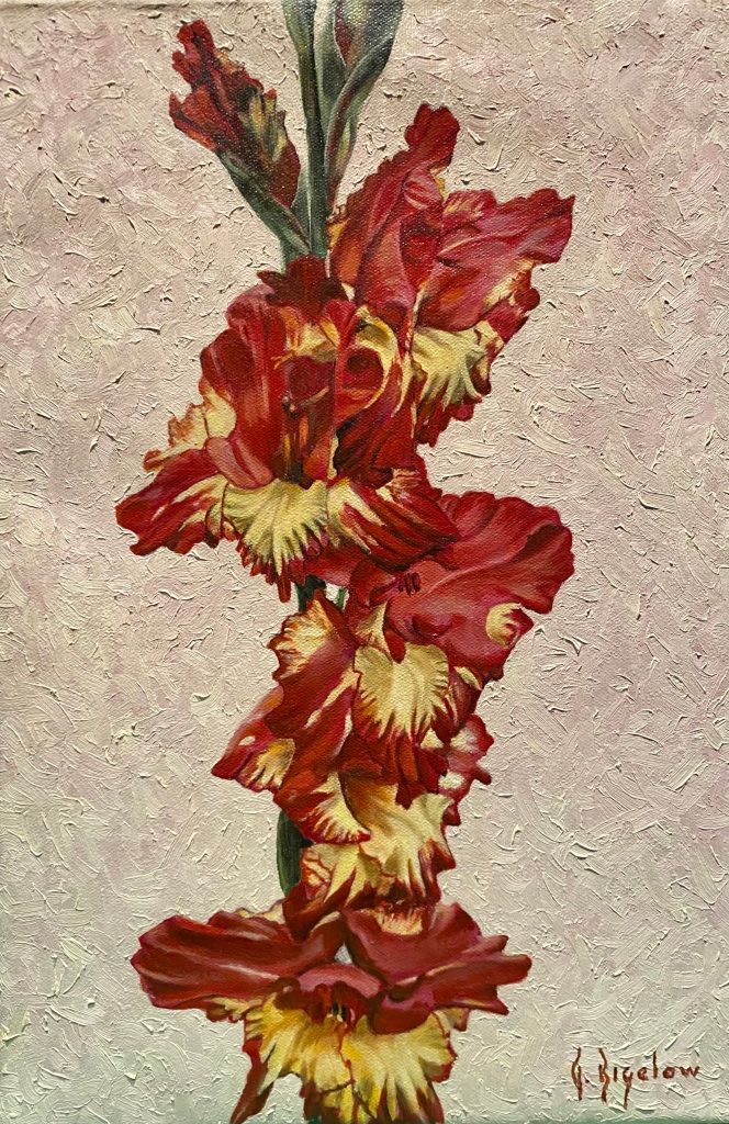 Butterfly Gladiolus 1988